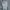 Umbro Anorak Jacket Single Layer Waterproof photo 3
