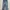 Jeans Anain photo 1