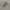 Benefit Brow Zings Eyebrow Shaping Kit | Benefit Alis photo 4