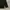 Prada Luxury Casual Polo shirt Pria black photo 2