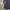 Salomon Y2K Sportswear Jersey Pria multicolor photo 2