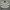Tommy Hilfiger Streetwear Casual Polo shirt Pria white navy photo 1