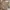 Cellpocket Wide Pants Changing Times Japanese Brand brown photo 5