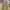 Cellpocket Wide Pants Changing Times Japanese Brand Brown