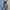 Bomber flight jacket ma-2 vintage photo 4