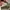 Vans Authentic True White photo 8