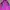 Millet outdoor pink photo 1