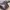 Atelier De Lumen Marron Bag Brown Leather  photo 5