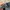 Vintage Porter Yoshida Hit Pack waistbag Nylon photo 6