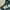 Nike Streetwear Sportswear Jersey Pria green cream photo 5