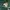 Nike Streetwear Sportswear Jersey Pria green cream photo 3