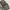 Camo Carhart  photo 2