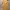 Korean style vintage V neck dress  photo 1