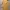 Korean Style Vintage V Neck Dress 