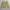 Y2k Burberry KnitWear With inner Mesh Blue Label 2000s photo 7