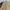 Y2k Burberry KnitWear With inner Mesh Blue Label 2000s photo 4