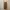 Luxury Casual Culotte Wanita brown photo 4
