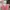 Shein Casual Crop Top Wanita Pink
