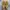Newbalance 1906 R Tan/Brown Cordura Pack Desert photo 7