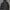 HOODIE CARHARTT SPELOUT photo 1