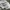 Oversize Hoodie Beat White photo 3