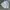 white shirt basic with patch landrover photo 3
