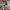 alpafly next %3 ekiden pack  photo 1