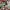 Alpafly Next %3 Ekiden Pack 