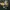 Los Angeles Project Dark Green Vintage Oversized Boxy T-Shir photo 2
