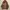 Jaket Outdoor Windbreaker Kurockers RealTree Second  photo 2