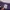 KAOS PRINSTAR LOVE LIVE NOZOMI JOJO ORIGINAL 100% photo 4
