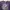 KAOS PRINSTAR LOVE LIVE NOZOMI JOJO ORIGINAL 100% photo 3
