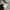 EDWIN Japan Hickory L/S Button Shirt photo 6