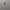 KAOS ESSENTIALS FOG FEAR OF GOD photo 2