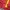 Adidas Casual Track jacket Pria red photo 6