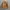 UNIQLO x JWAnderson Fireman Clasp Jacket not Carhartt photo 1