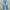 LEE RAIDER LONG PANTS DENIM