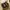 Dr. Martens Voss II Tan (38 / UK5) photo 1