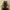 Dr. Martens Voss II Tan (38 / UK5) photo 4