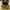 Dr. Martens Voss II Tan (38 / UK5) photo 2
