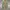Vintage Burberry Short photo 1