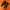 nike air max tn plus
 photo 1