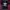 Adidas trefoil big logo  photo 1