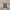 Luxury Casual dress Wanita burgundy photo 4