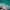 JERSEY BASEBALL HOKKAIDO THIRD 2019 ORIGINAL 100% photo 4