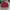 Forever 21 Full bordir Satin jacket sukajan not uniqlo photo 3