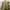 Vintage Streetwear Puffer jacket Pria khaki photo 6