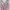 Longline Sports Bra L photo 4