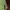 Lifework photo 3