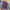 Carhartt Streetwear Y2K T-shirt Pria burgundy photo 2